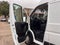 2021 RAM ProMaster 1500 Base