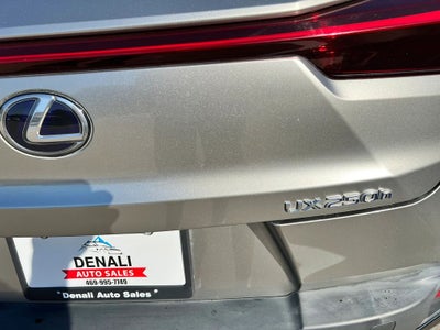 2020 Lexus UX 250h F SPORT